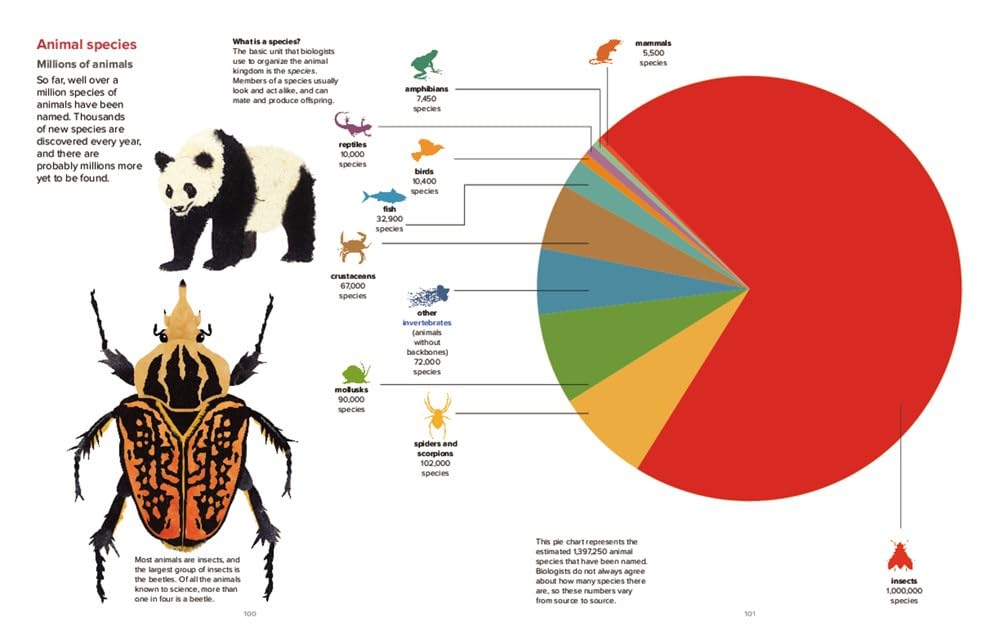 Our World by the Numbers