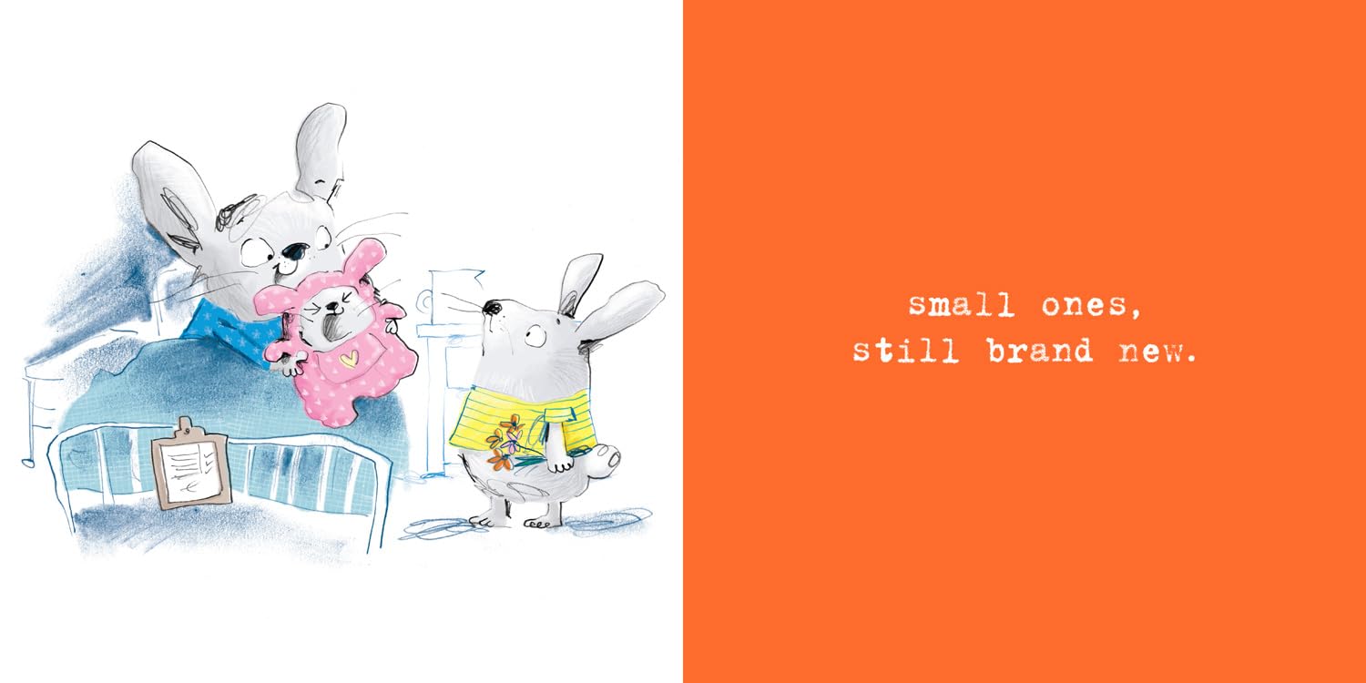 Amazing Sister (Softcover)