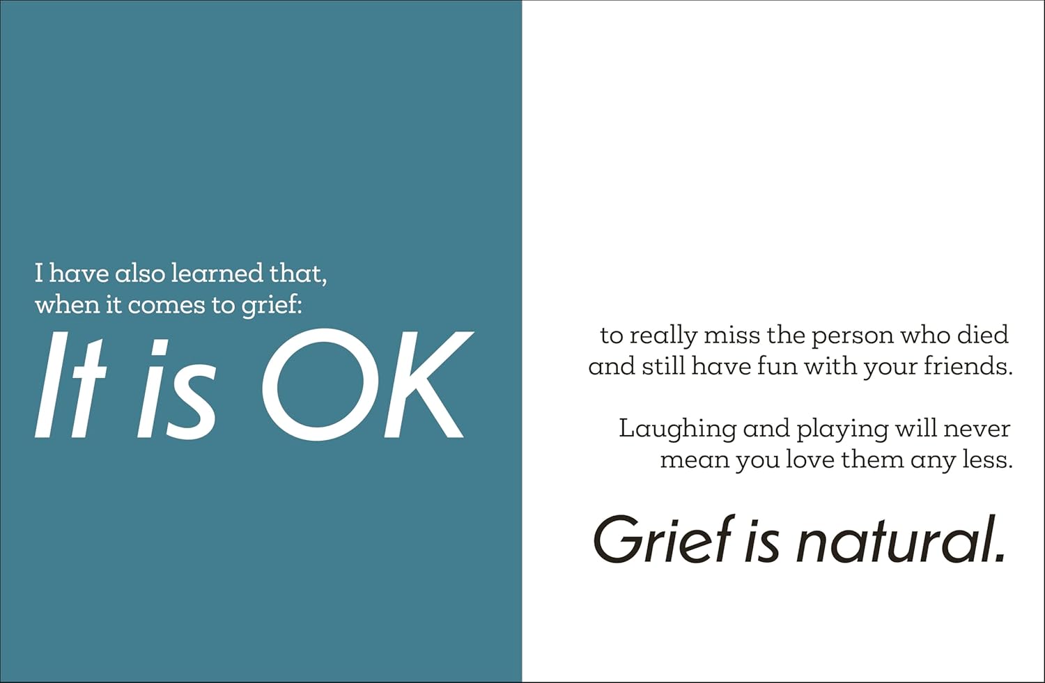 A Kids Book About Grief