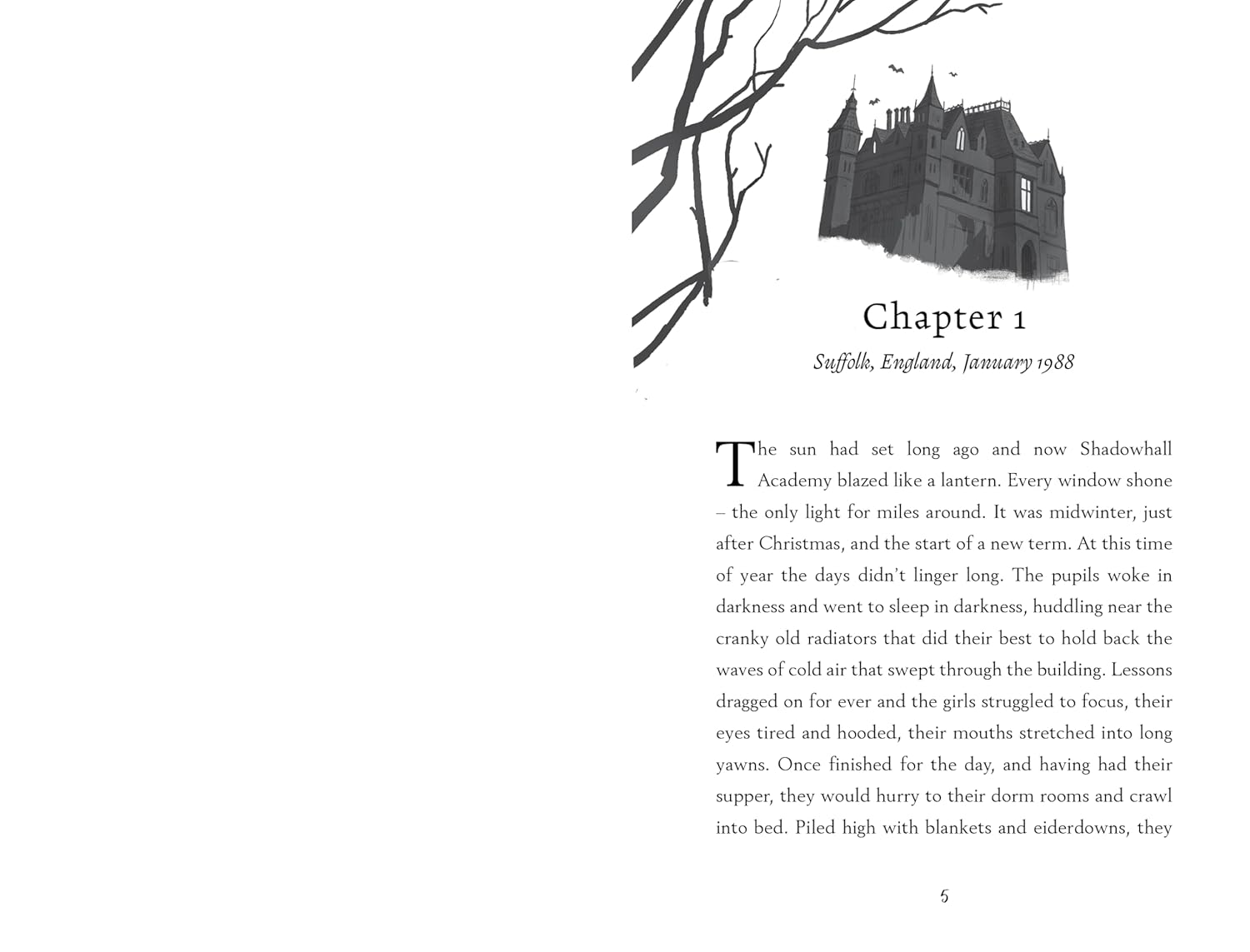 Shadowhall Academy 2: Ghost Story Society