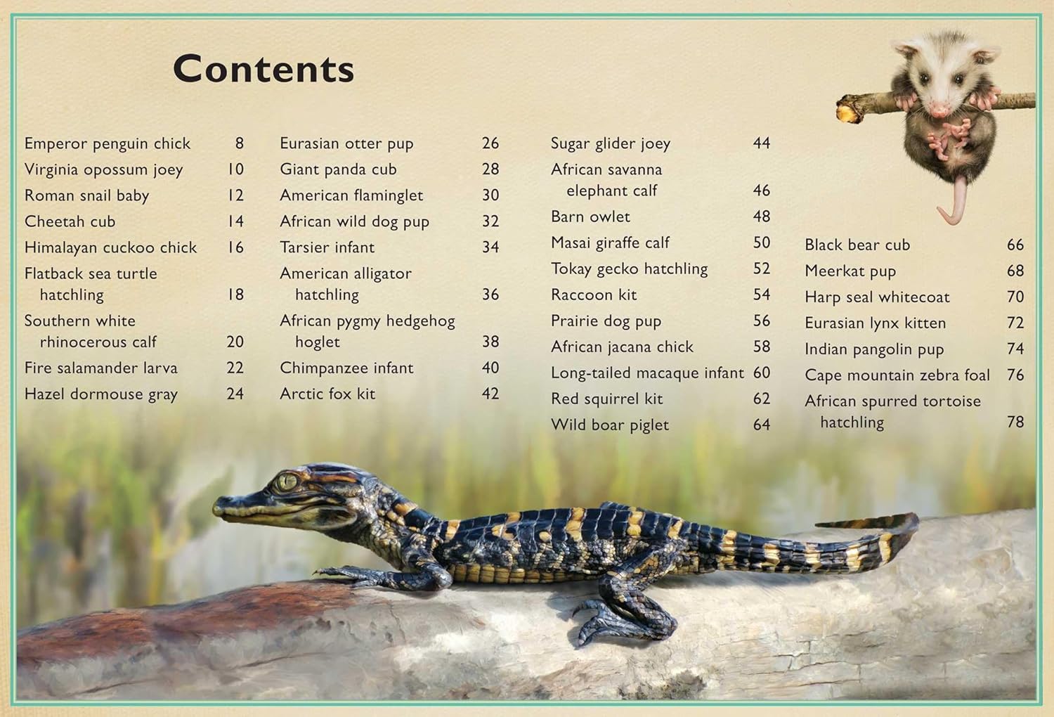 The Magnificent Book of Baby Animals
