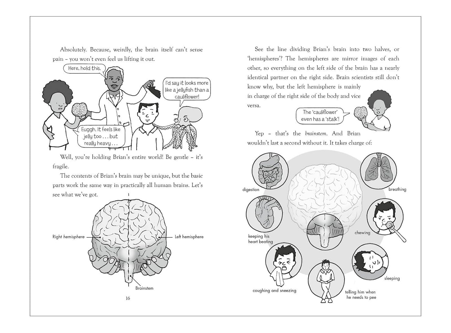 Explodapedia: The Brain
