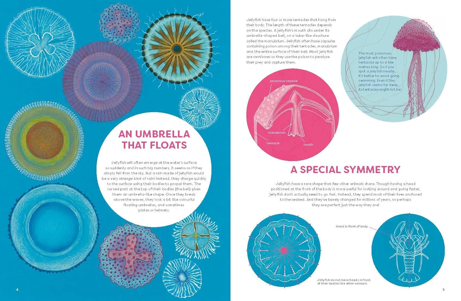 The Jellyfish Garden: Explore Their Curious World