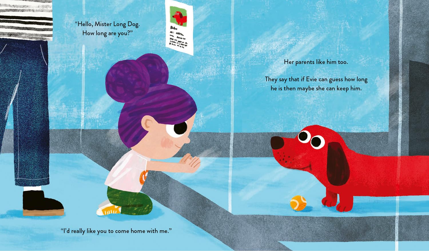 How Long is That Dog? (Softcover)