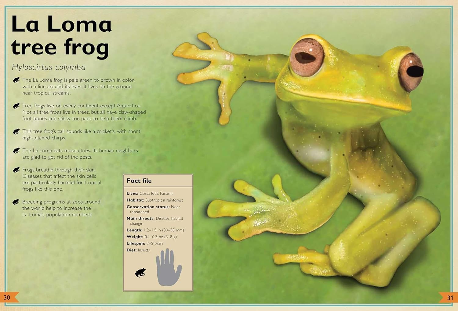 The Magnificent Book of Endangered Animals