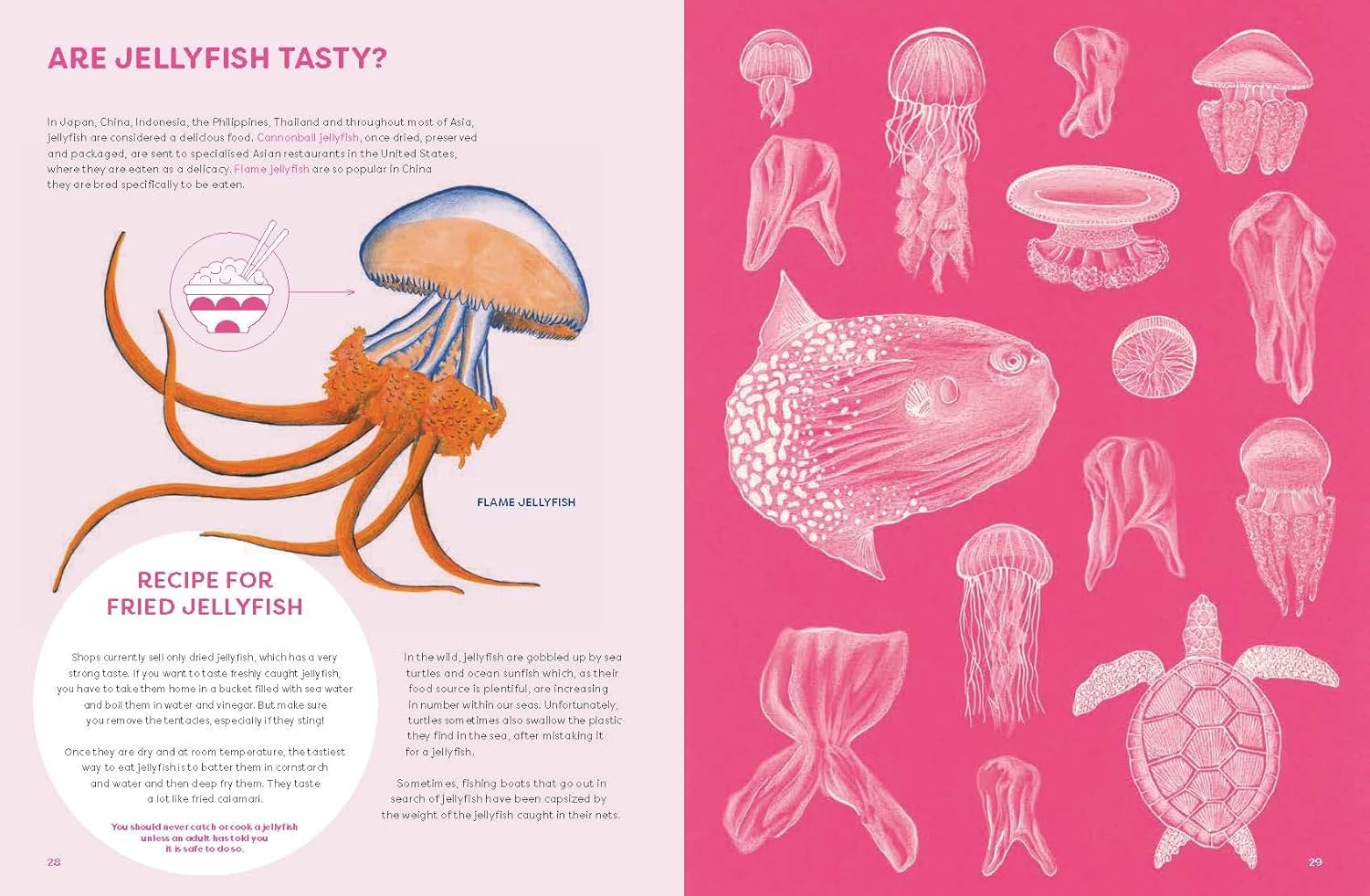 The Jellyfish Garden: Explore Their Curious World