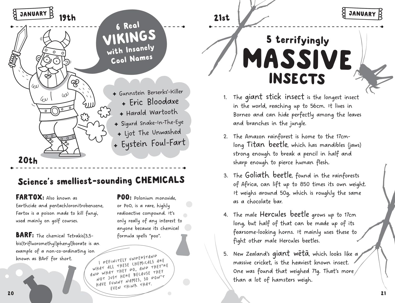 Become a Genius in a Year