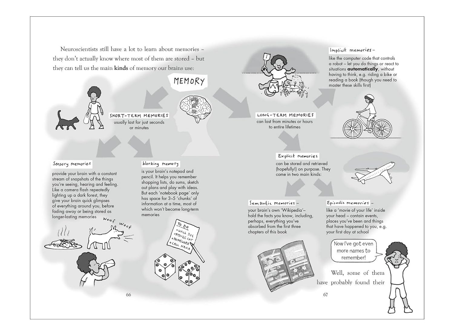 Explodapedia: The Brain