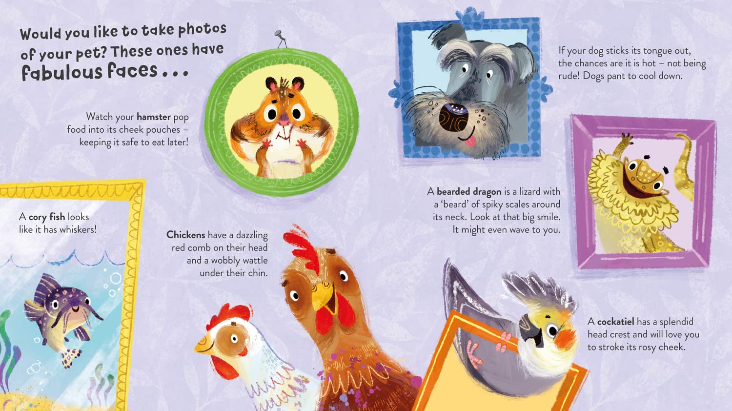 Pick a Pet (Softcover)