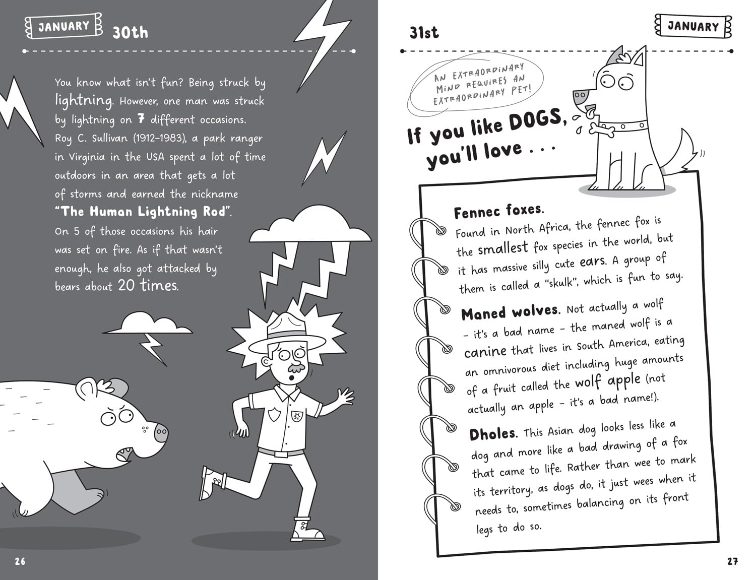 Become a Genius in a Year