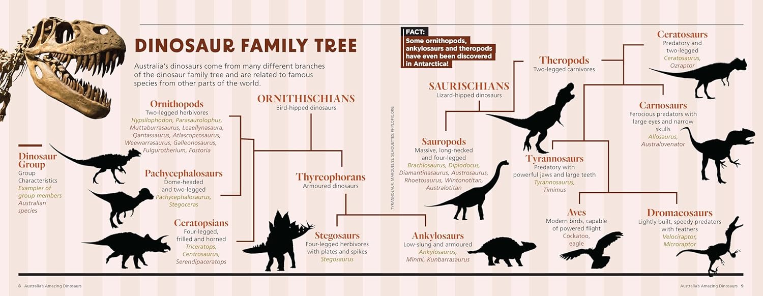 Australia’s Amazing Dinosaurs