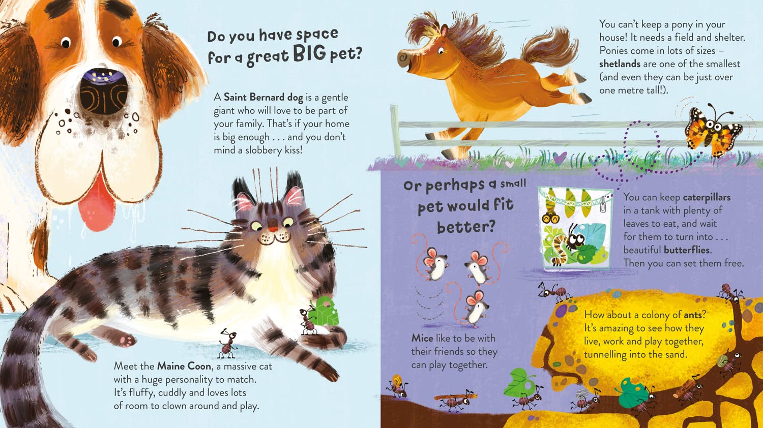 Pick a Pet (Softcover)