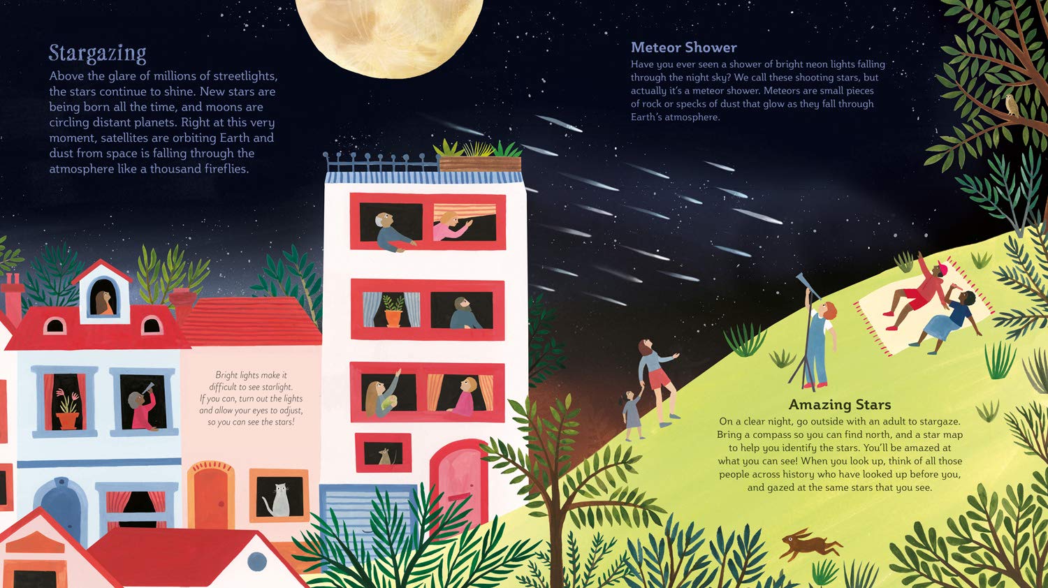 Night Sky (Softcover)