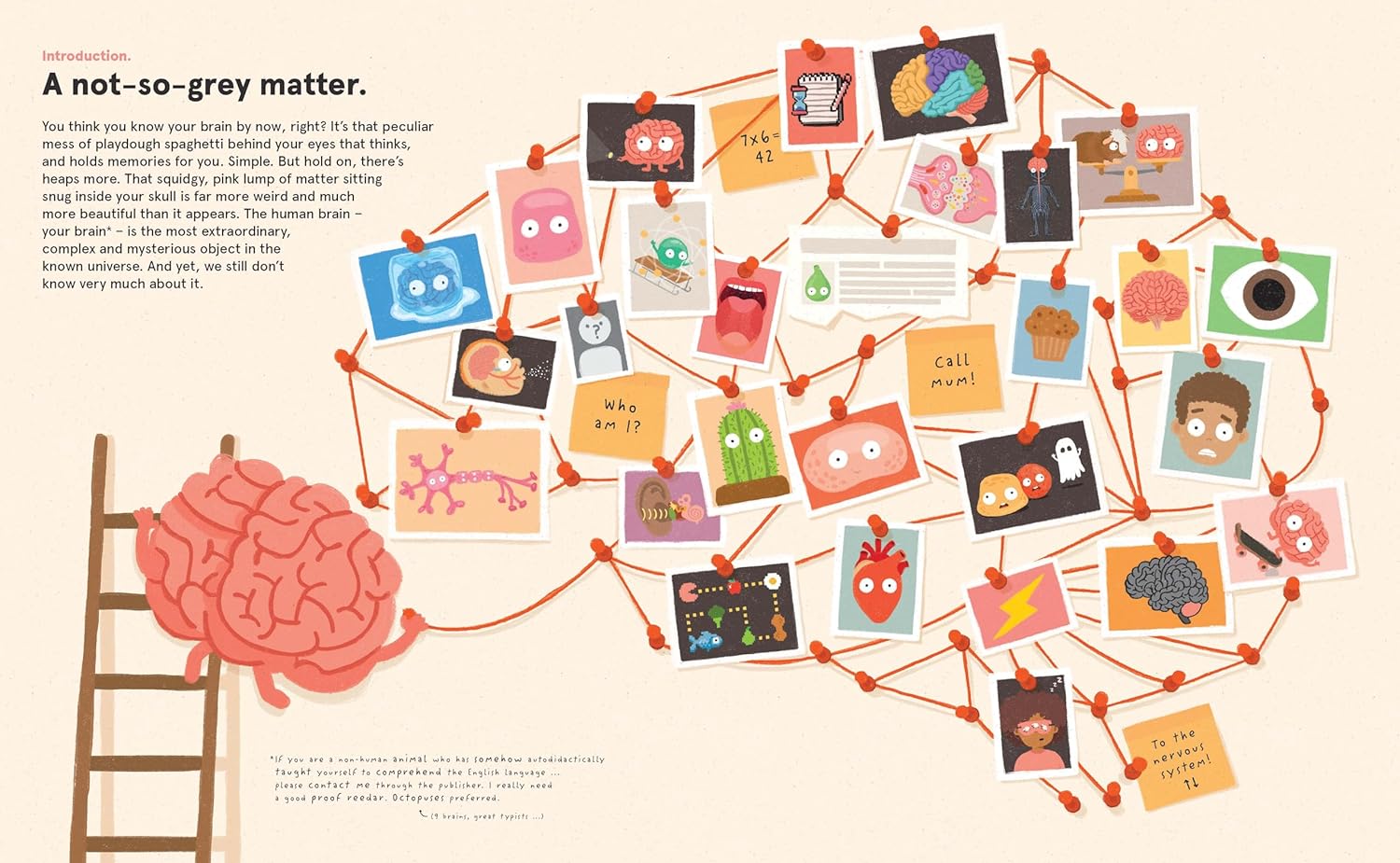 Your Brilliant Brain