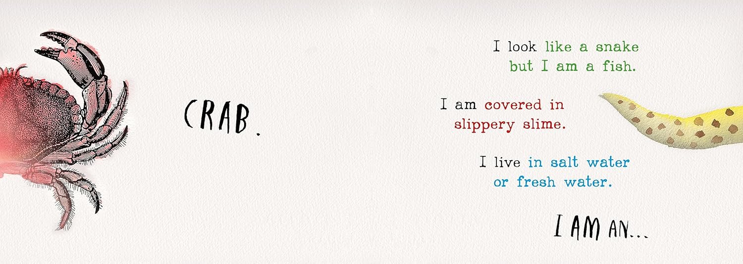 Heads and Tails Underwater