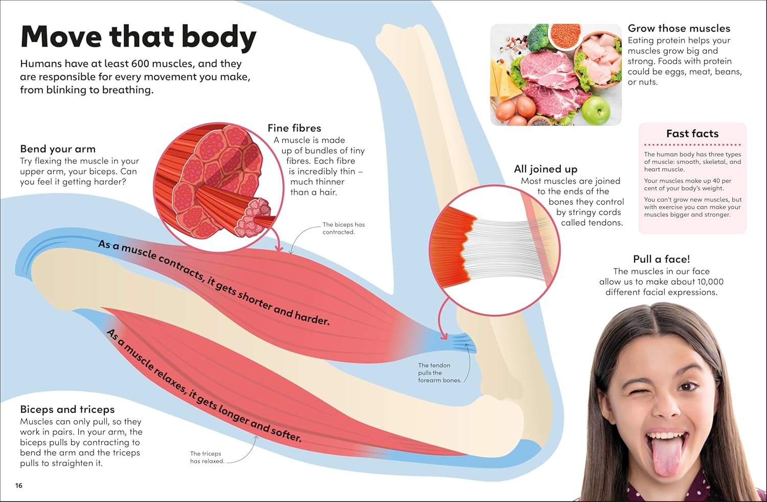 Eyewonder Human Body