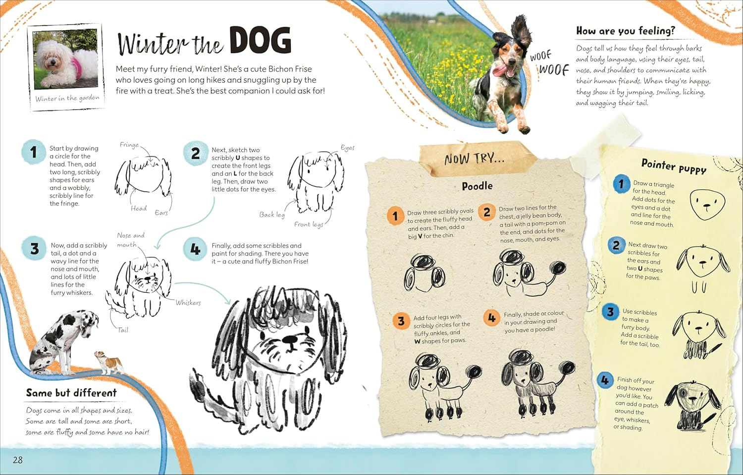 Draw Along Animals: Sketch Your Way Through the Animal Kingdom