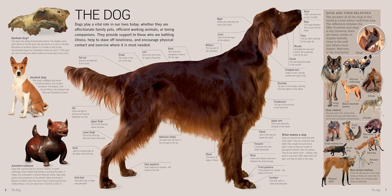 Dogs: A Visual Catalog Of More Than 100 Breeds
