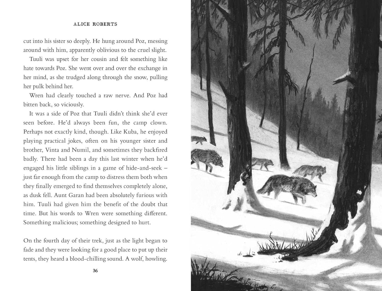 Wolf Road