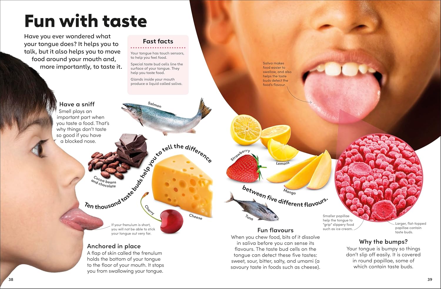 Eyewonder Human Body