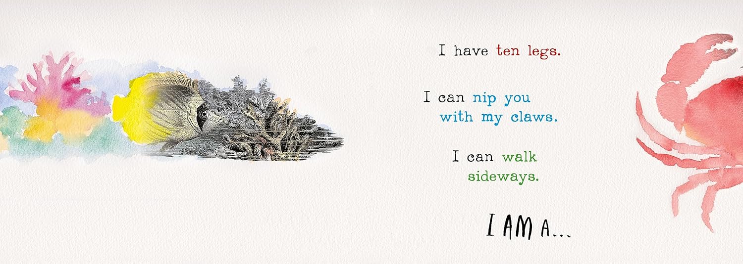 Heads and Tails Underwater