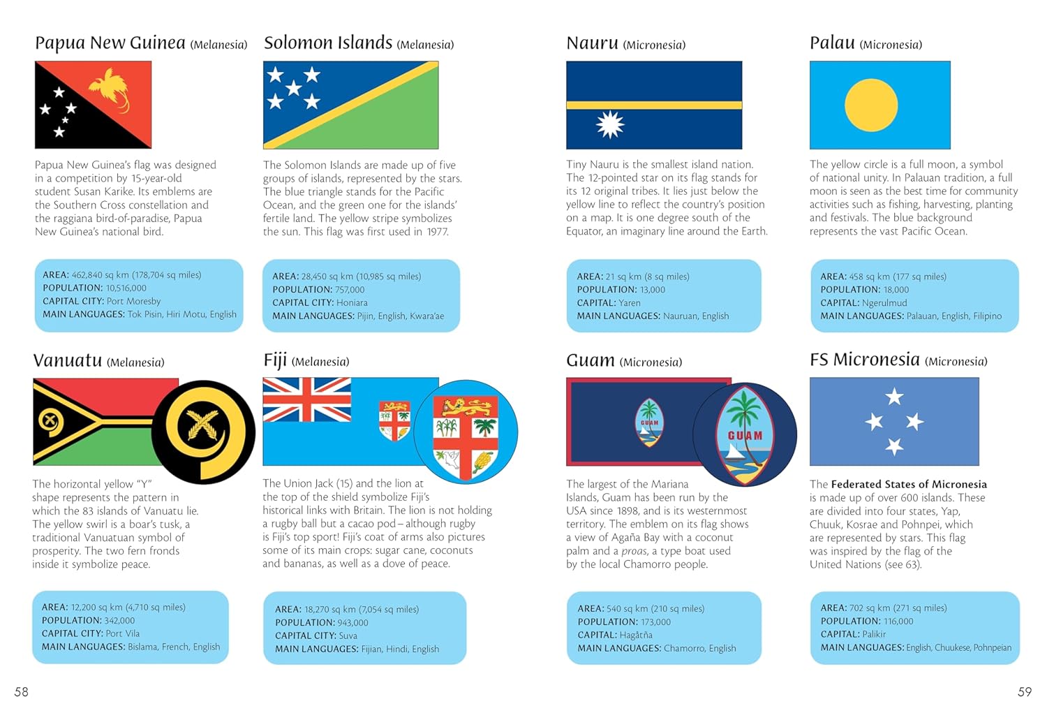 Flags of the World: Usborne Spotter's Guide
