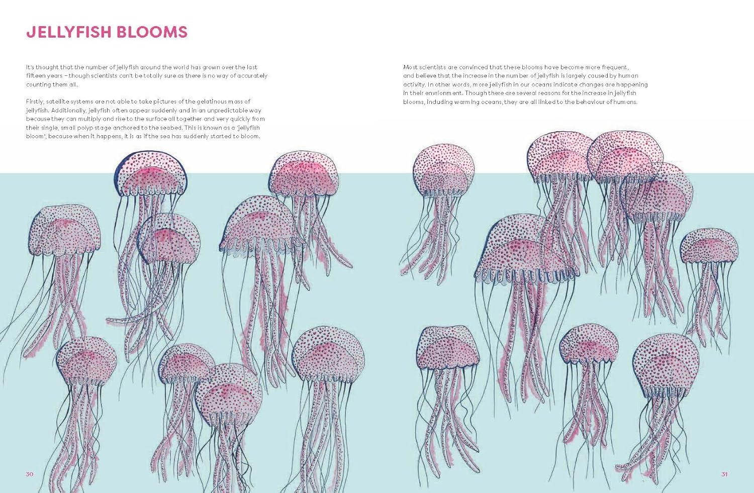 The Jellyfish Garden: Explore Their Curious World