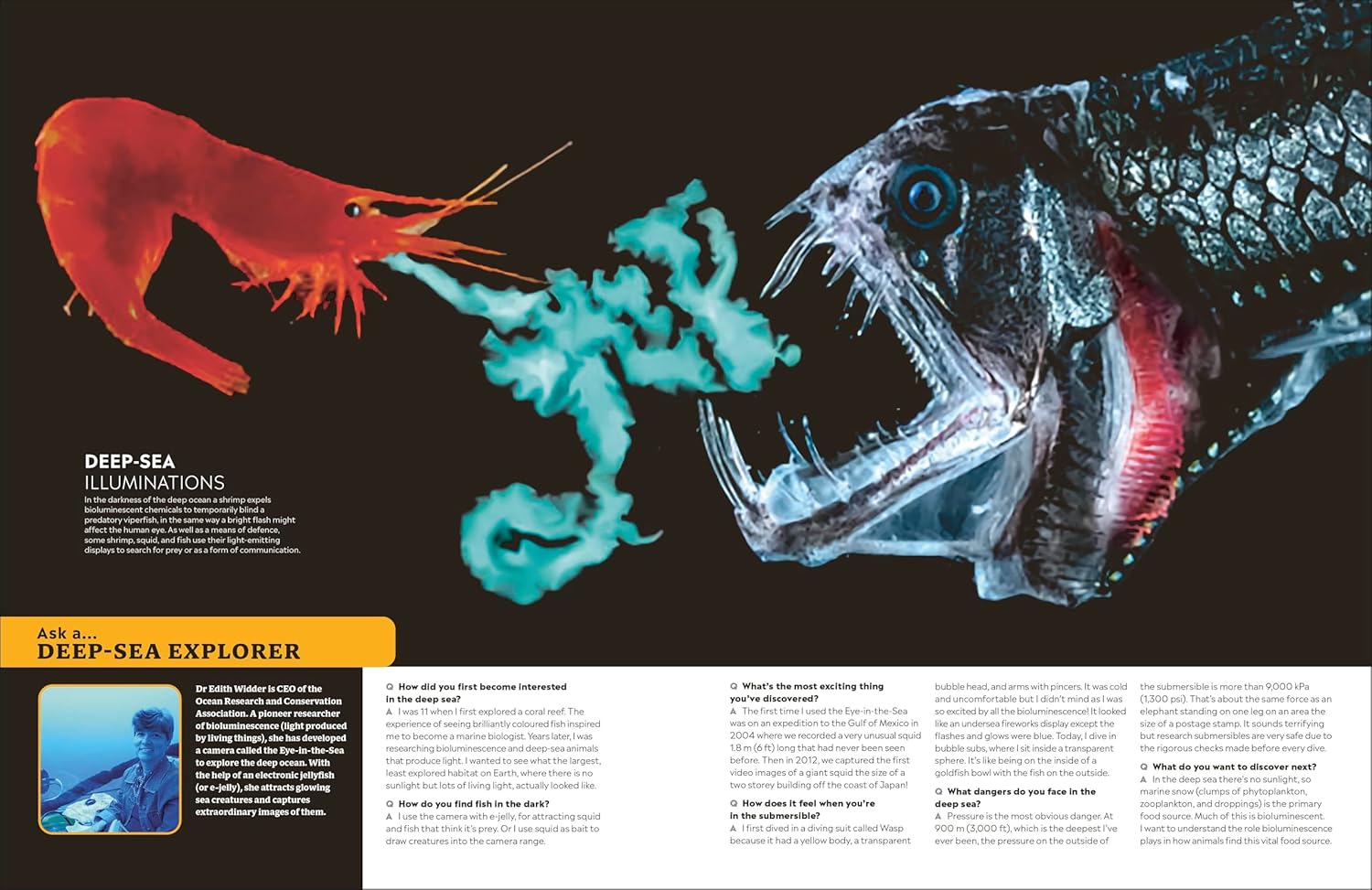 Eyewitness Encyclopedia of Animals