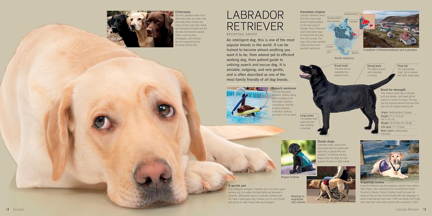 Dogs: A Visual Catalog Of More Than 100 Breeds