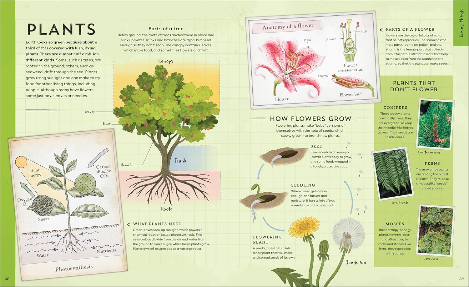 Explore: Science: A Visual Journey Through Our World