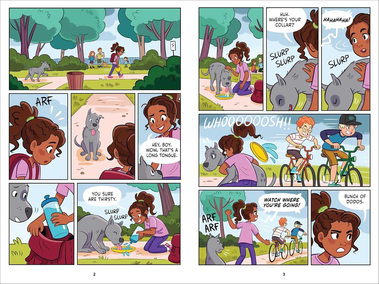 Animal Rescue Friends Box Set