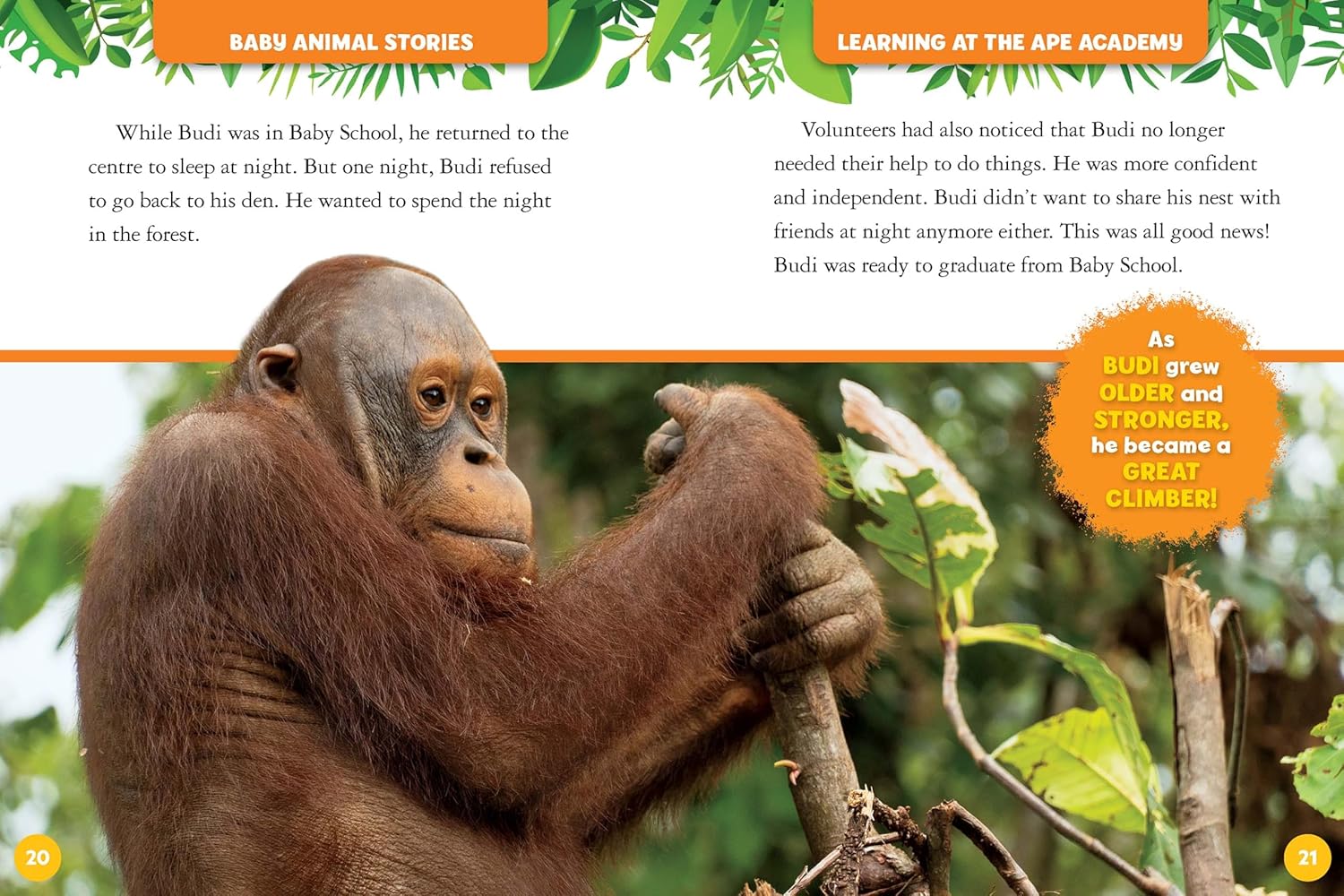 My Treasury of Baby Animal Stories