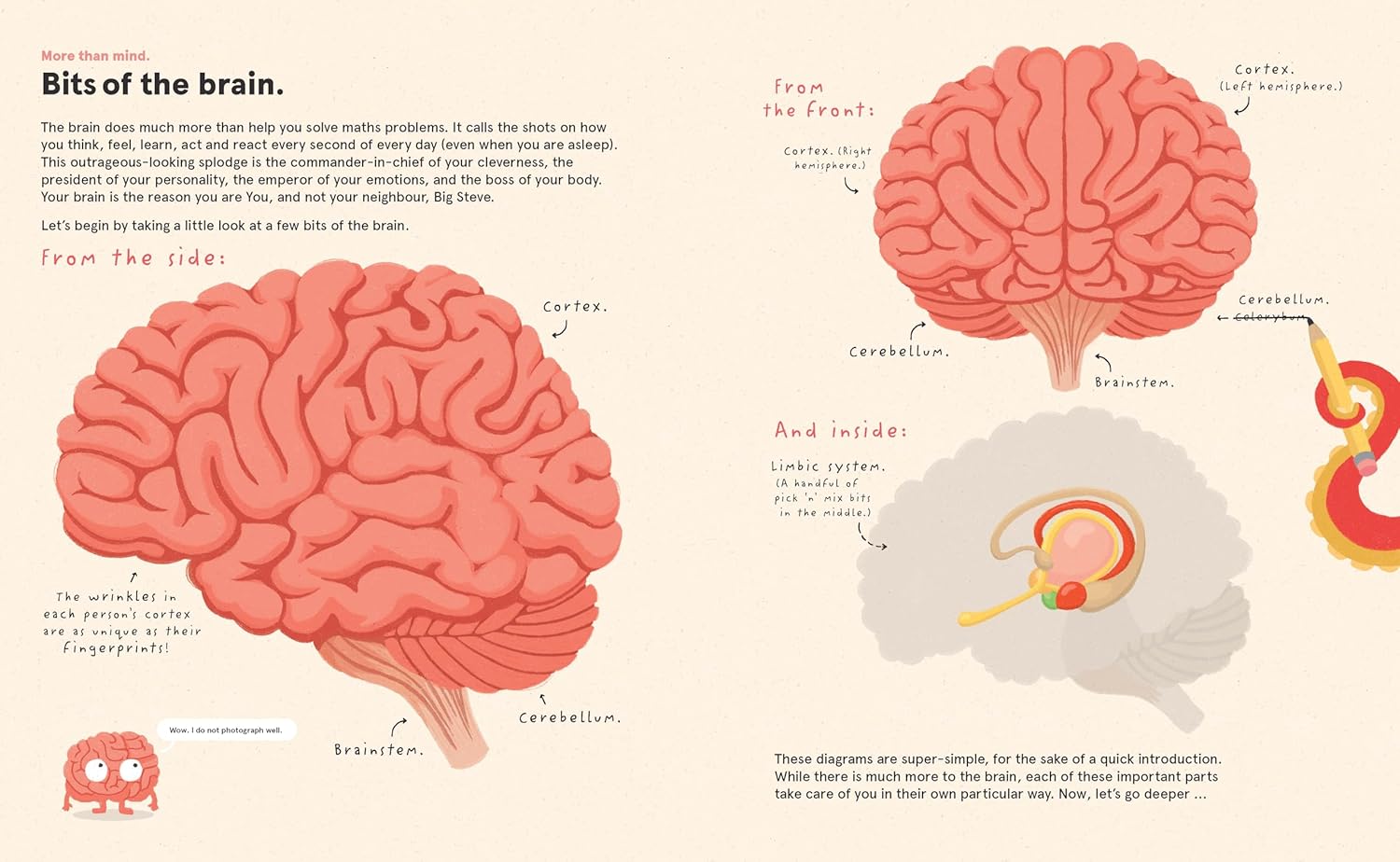 Your Brilliant Brain
