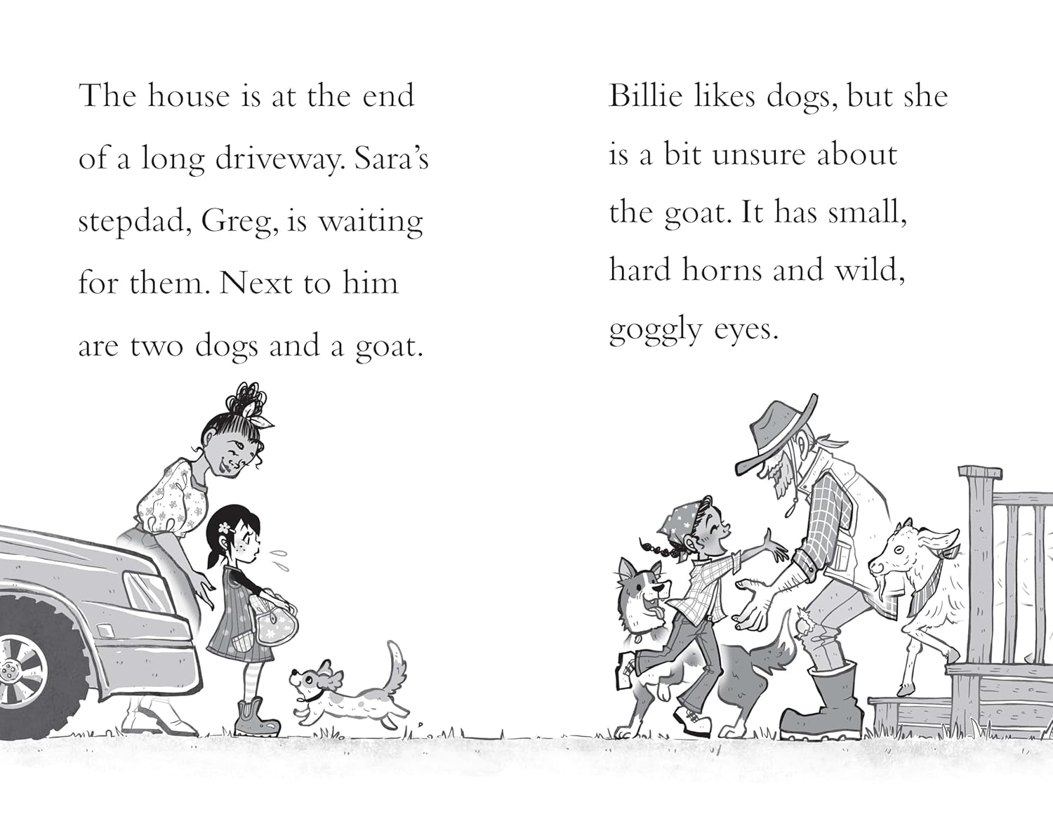 Billie B Brown: The Farm Sleepover (Vol 29)