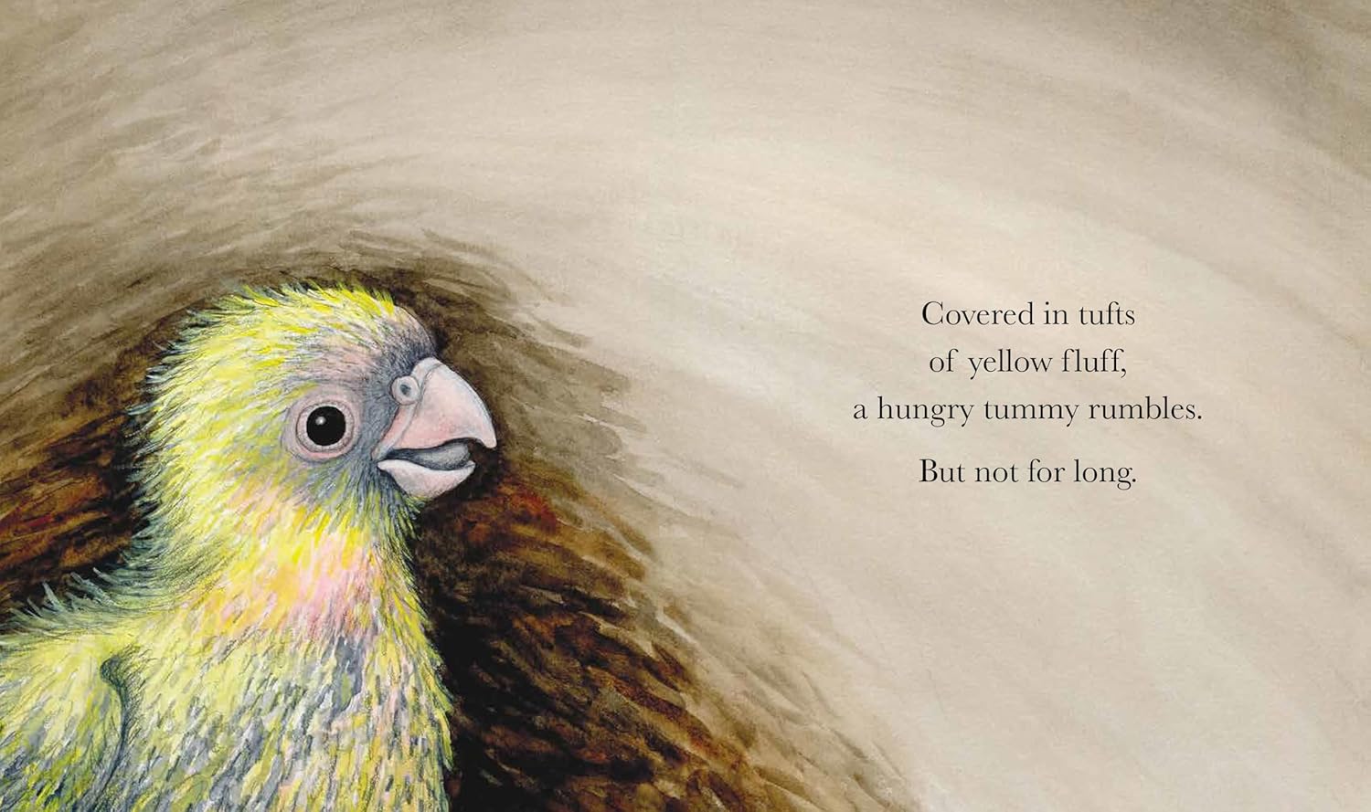 Cockatoo