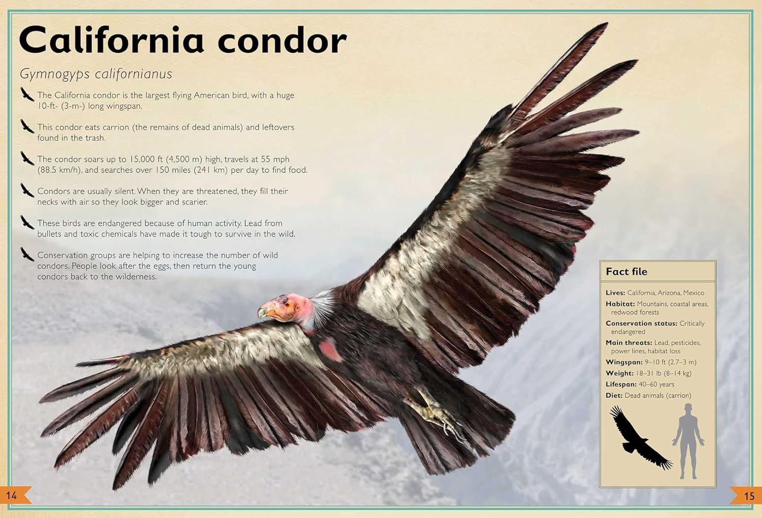 The Magnificent Book of Endangered Animals