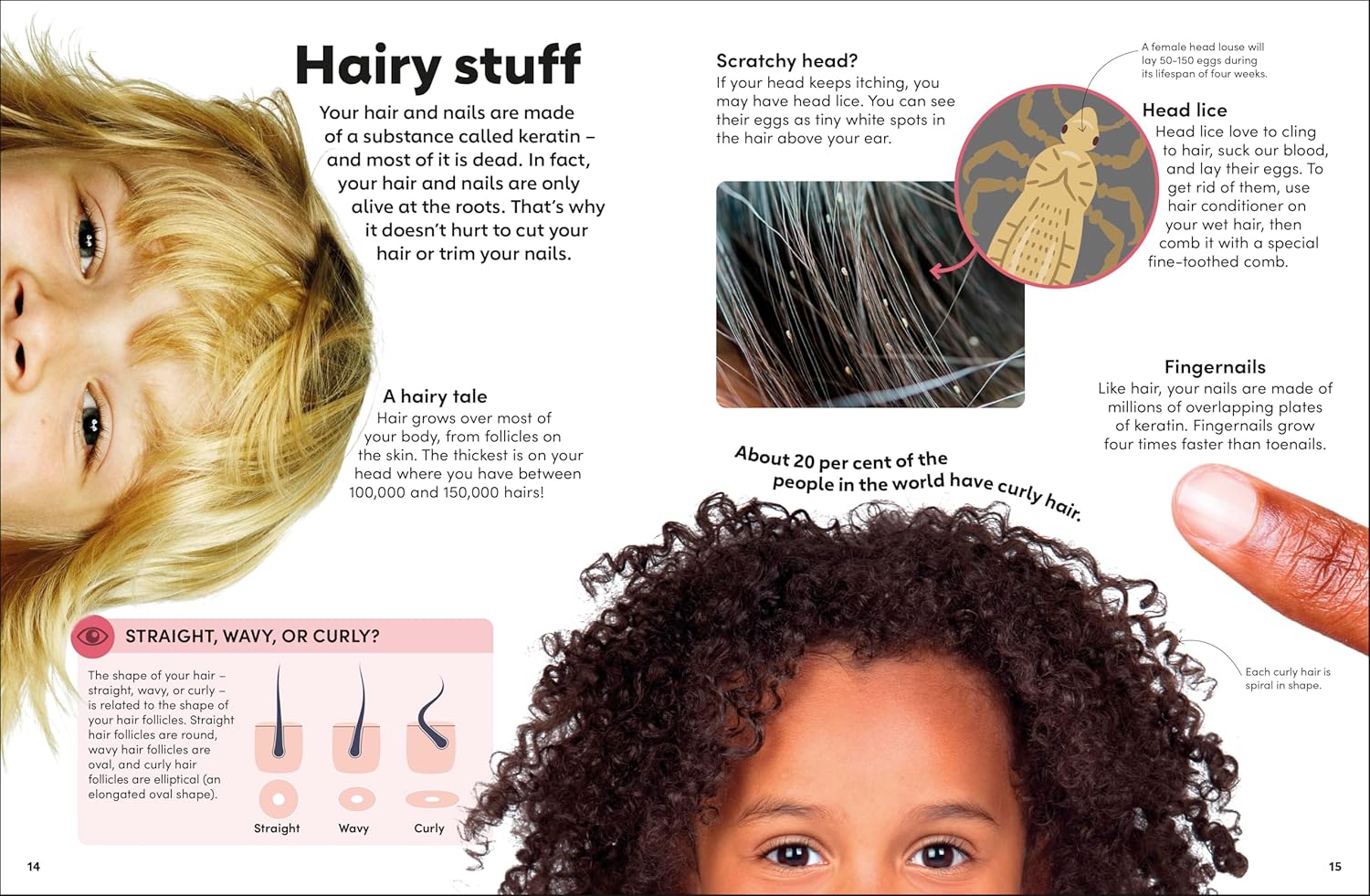 Eyewonder Human Body