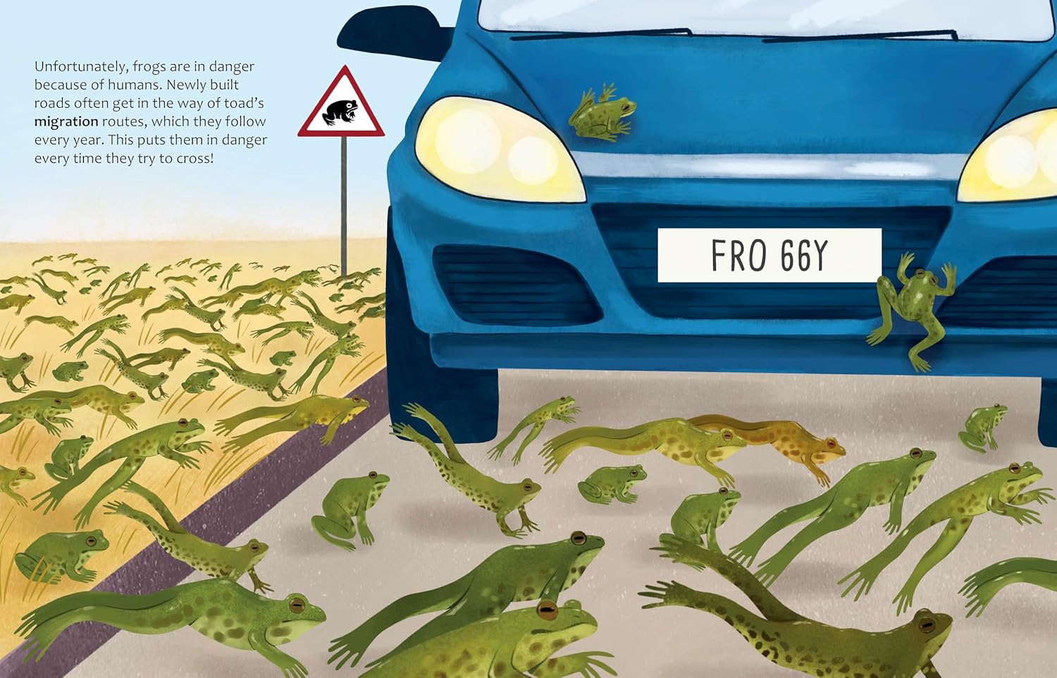 Big Questions Answered: What Can Frogs Tell Us About Our Planet? Herpetology