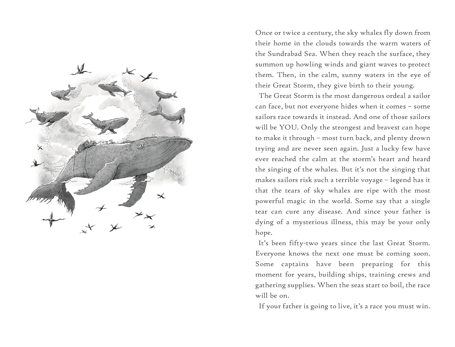 Adventure Gamebooks: Storm Quest