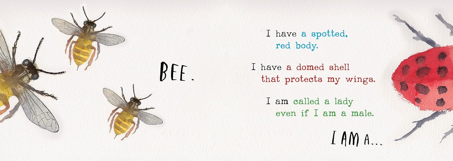 Heads and Tails Insects