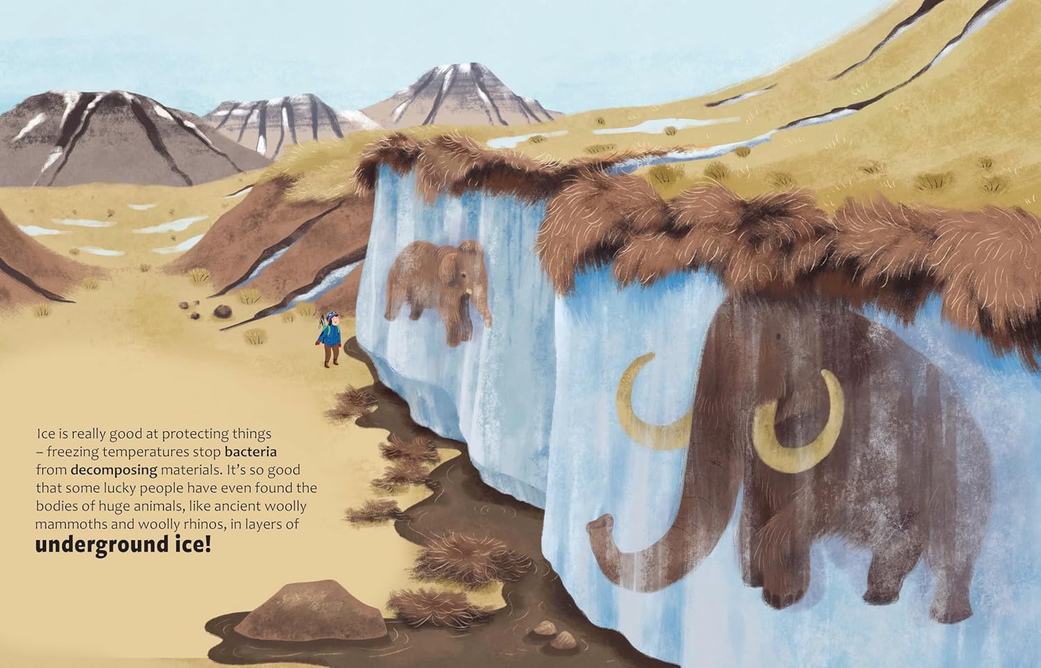 Big Questions Answered: Are Glaciers the Key to Climate Change? Glaciology