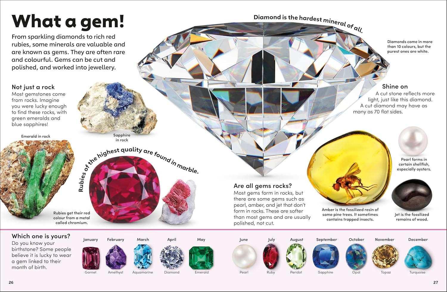 Eyewonder Rocks and Minerals: Open Your Eyes to a World of Discovery