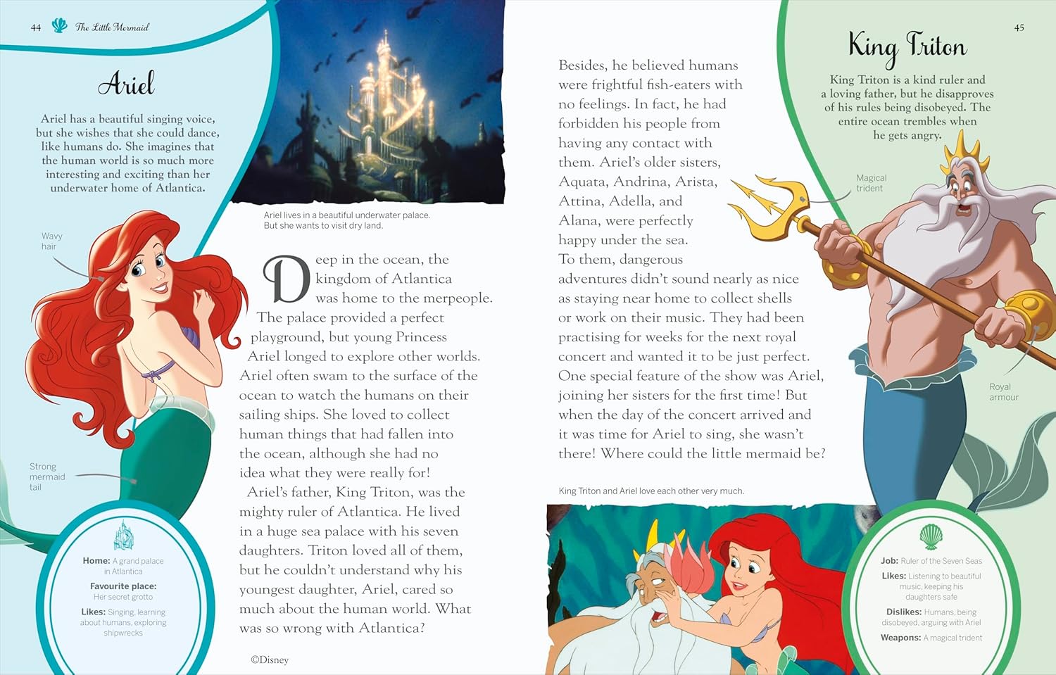 Disney Princess Enchanted Character Guide: Relive the Spellbinding Stories of the Disney Princesses in This Magical Guide
