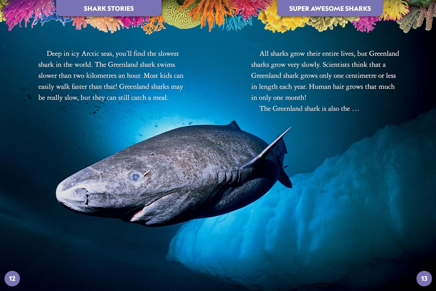 National Geographic Kids - My Deluxe Treasury of Shark Stories