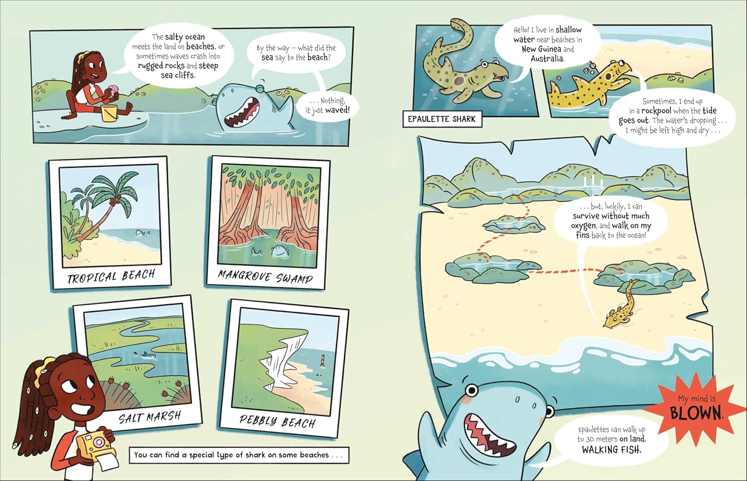 The Fact-Finders Ocean: Discover the Secrets of the Deep!