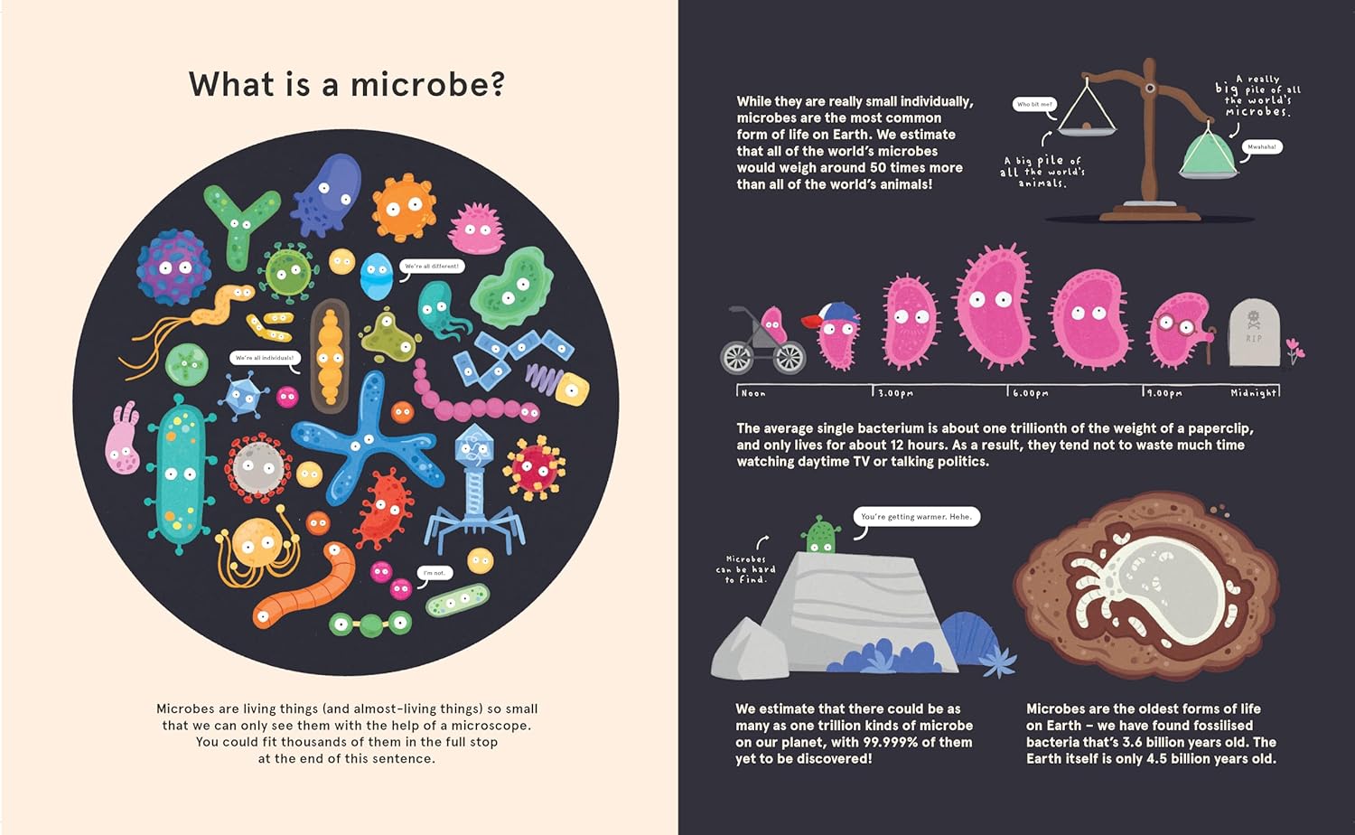 Me, Microbes and I: Meet the viruses, bacteria and other weeny weirdies that share your world.