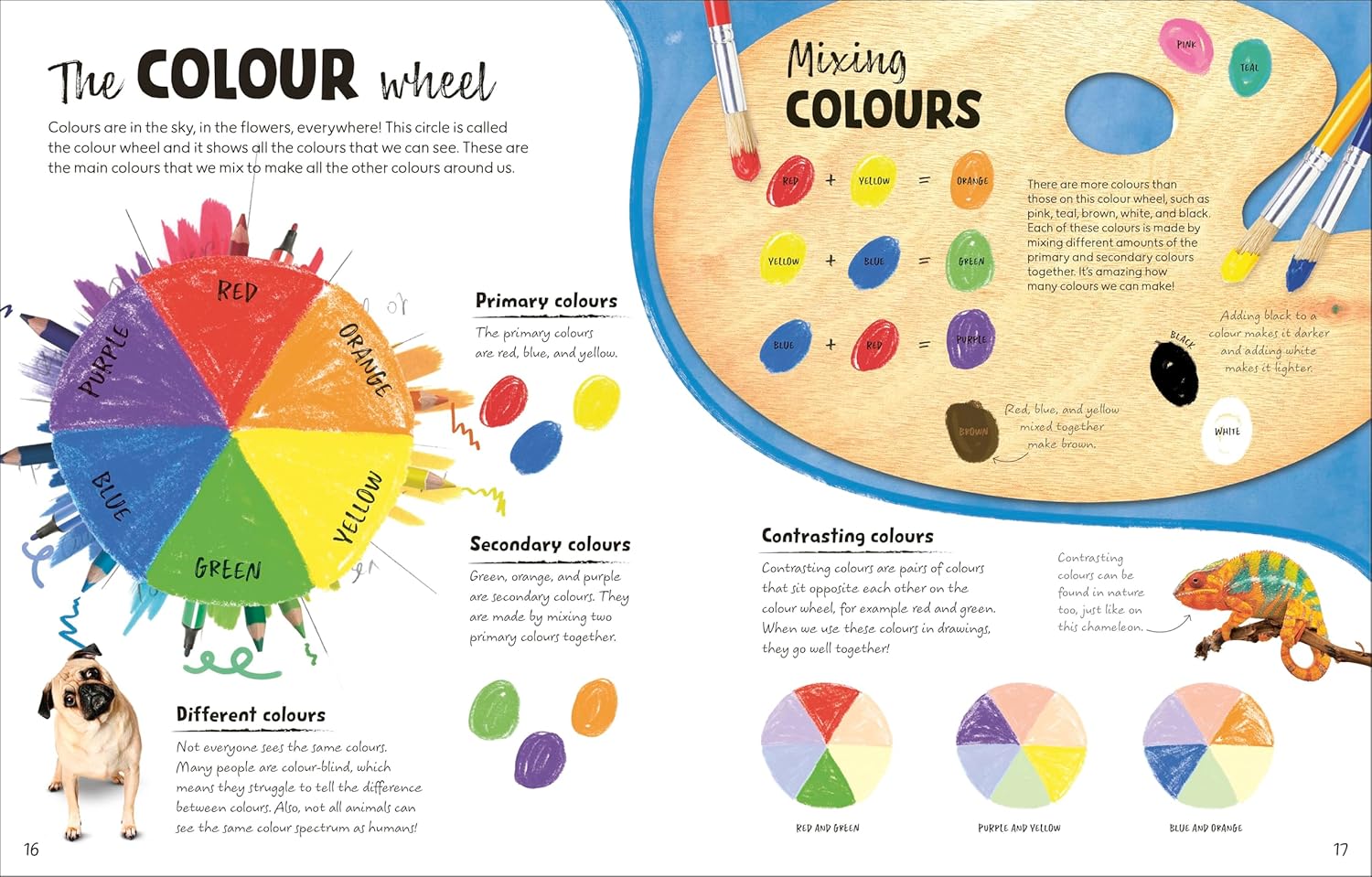 Draw Along Animals: Sketch Your Way Through the Animal Kingdom