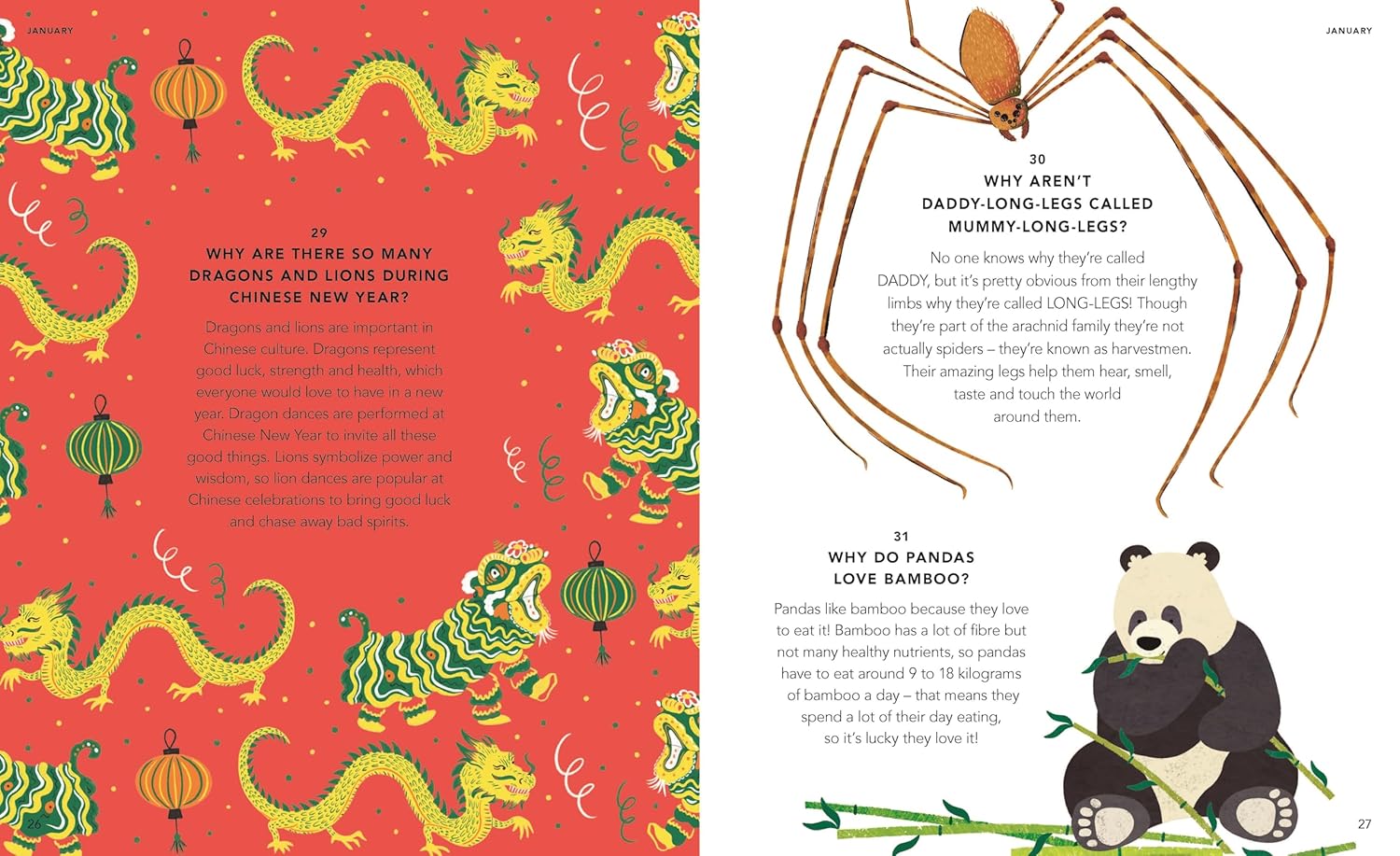 Everything Under the Sun: All Around the World