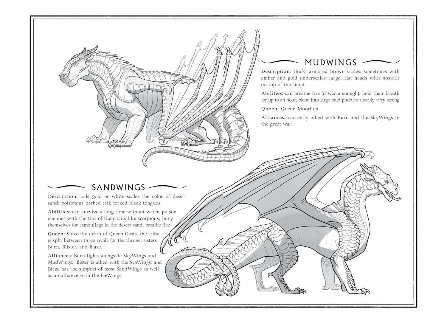 Wings of Fire Bk 4: The Dark Secret (Special Edition)