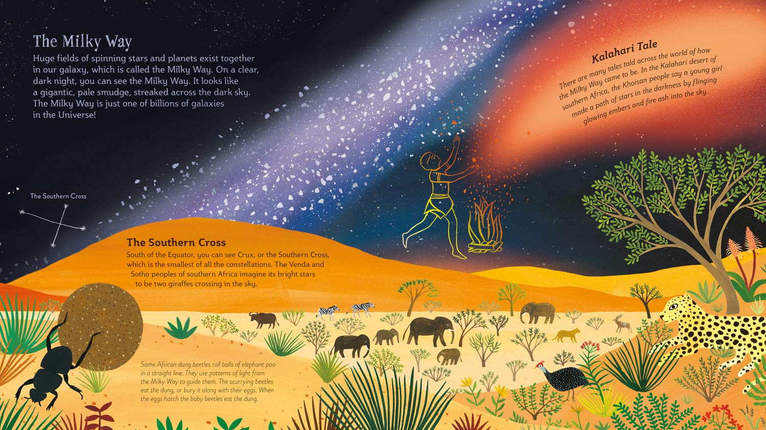 Night Sky (Softcover)